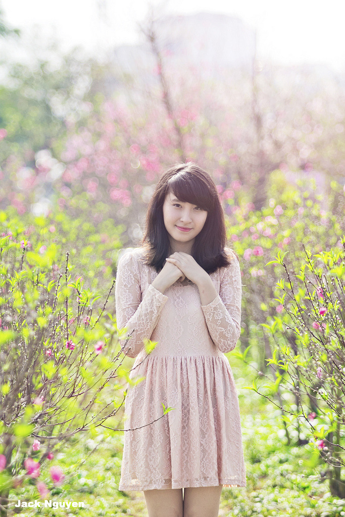德川女系图